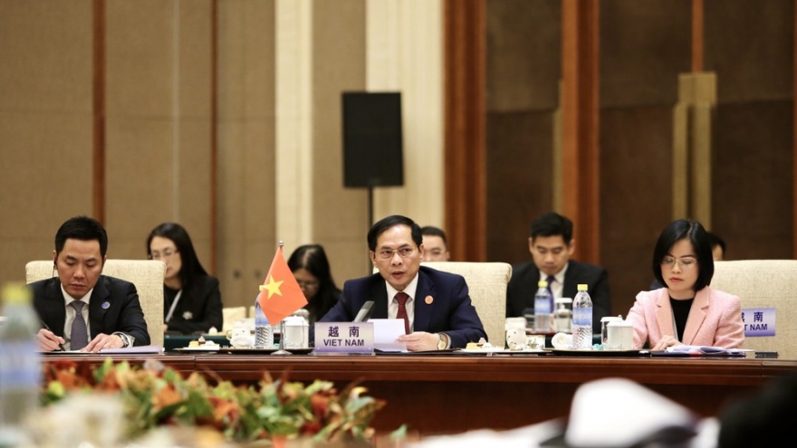 Vietnam proposes major priority areas of Mekong – Lancang cooperation